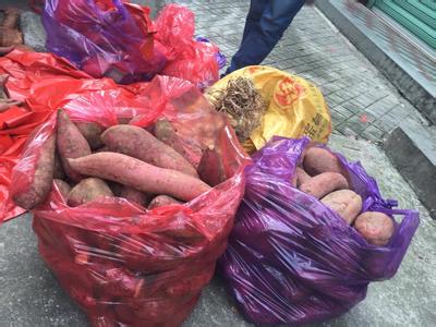 农村喂猪 它在农村被拿去喂猪，在城里被腌成泡菜，可它是治疗糖尿病的良药