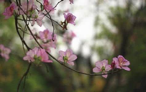 真正的善良是什么 什麼是真正善良