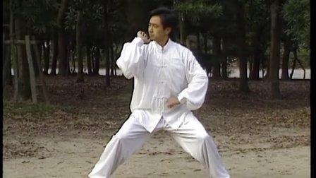 八极拳 专辑: 八极拳