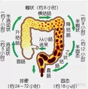 你的肠道健康吗 你的肠道健康吗 如何辨别肠道是否健康