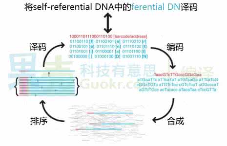 dna硬盘 dna DNA硬盘:1克能存700TB数据