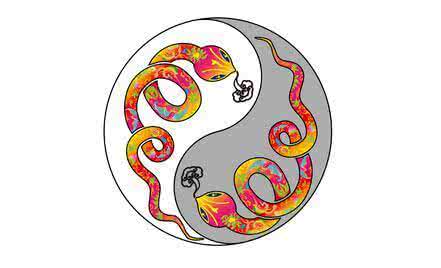 有才志的人因遭遇挫折 明年是什么生肖年 今年连遭挫折,明年开始走大运的三个生肖