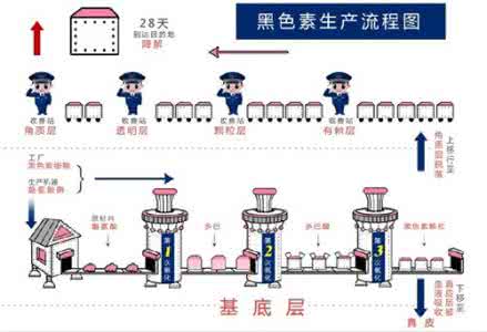 分解黑色素 睡前关灯会增加黑色素的分解