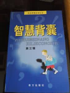 智慧背囊 【智慧背囊】轮 胎