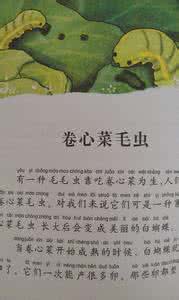 昆虫记松毛虫主要内容 昆虫记松毛虫 昆虫记_昆虫记松毛虫