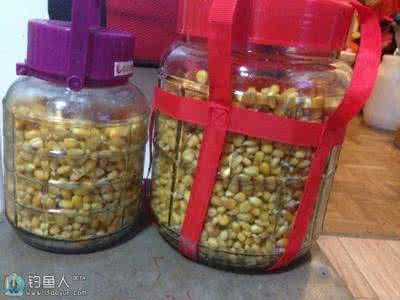 钓青鱼饵料配方 网络收集的青鱼饵料及诱饵方子，供参考。