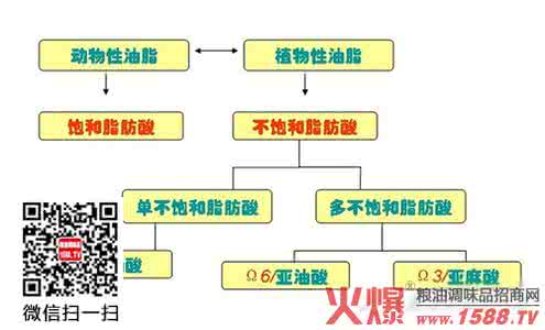 人体必需脂肪酸 人体必需脂肪酸 脂肪酸对人体很重要 如何健康吃油？