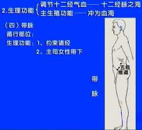 中医基础理论讲座视频 视频  中医基础理论课件（75讲）