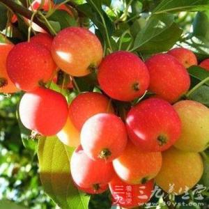 沙果的营养价值 沙果的营养价值 常吃沙果营养丰富好处多