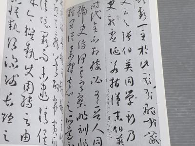 孙过庭书谱译文 注释 孙过庭书谱释文