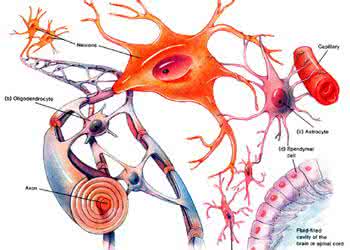 周围神经病变能自愈吗 神经病变的能治愈吗？