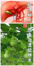 根治银屑病祖传秘方 祖传秘方：胆囊炎速效神方