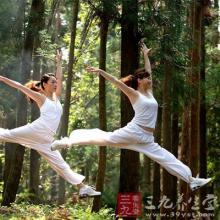 瑜伽流派体系 瑜伽常识 瑜伽的主要流派与七种体式