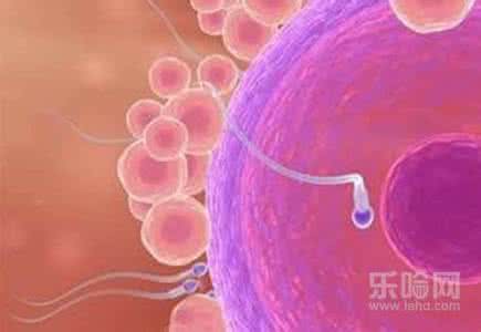 人工授精后几天着床 人工授精后几天着床 人工受精后几天着床比较好呢