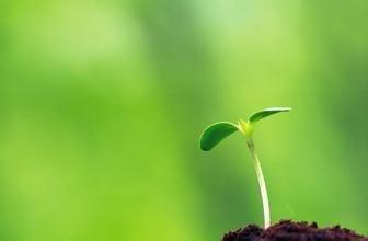 生命的意义在于什么 生命的意义在于有限时间无限可能