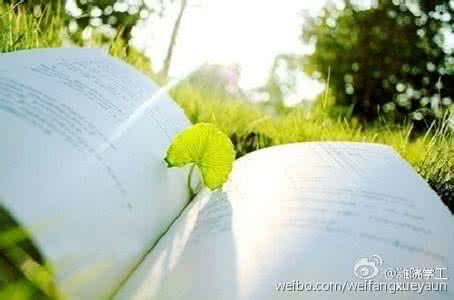当你抱怨没有鞋的时候 当你抱怨时,幸运已经转身