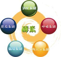 海浮石的功效与作用 海浮石的功效与作用 探讨海浮石的功效与作用