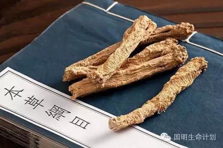 黄芪扶正 为什么黄芪能 “扶正” 你知道么？