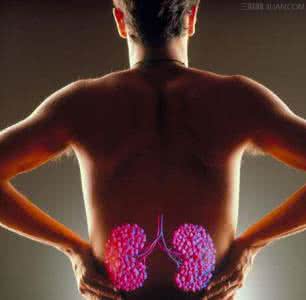 多吃什么对肾有好处 肾不好不能吃什么?