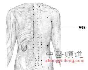 缓解心绞痛 用手按压至阳穴可缓解心绞痛