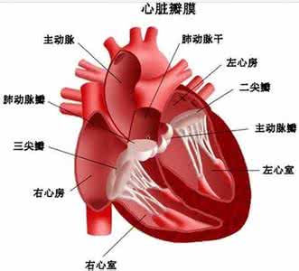 先天性心脏病治疗方法 终生不得心脏病的简单方法