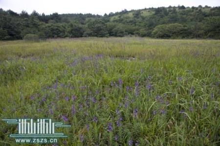 七年级下册第三单元 2015秋人教版七年级生物上册教学课件：第三单元第六章爱护植被，绿化祖国（共35张PPT）