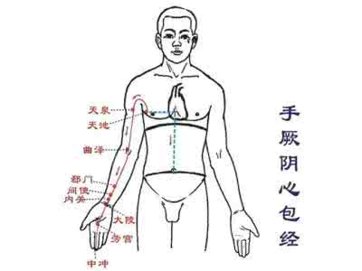 心包经经络图 救命经络心包经！心脏的保护神！胸闷气短就揉天泉穴！