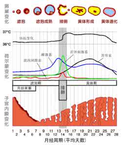 月经周期怎么计算 女人月经周期计算 月经周期计算 女人怎样算出自己的周期