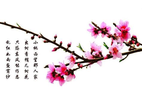 心术 心胸、心境、心术、心事