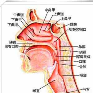 鼻息肉最佳治疗方法 预防鼻息肉主要有哪些方法