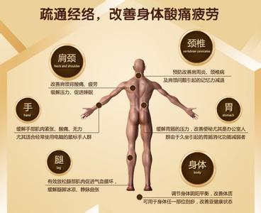 股骨头经络按摩方法 股骨头经络按摩方法 十三经络按摩方法