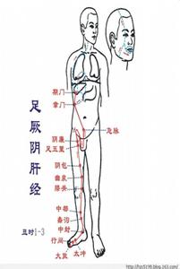 肝经不畅 【宝宝每日一穴】肝经:调畅气血、去肝火