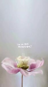 随和是一种能力 随和，不是没有原则，而是一种能力