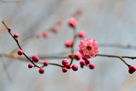 立春祝福语 关于立春微信祝福语2016