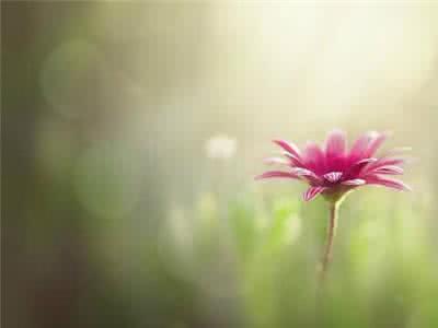 三生执念 情感美文：三生执念，隔着秋水长天