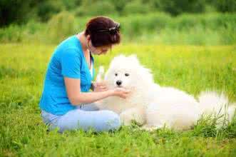养宠物风水 哪些风水养宠物会有好运？