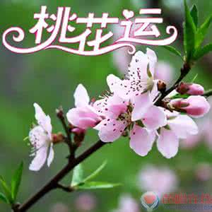 2017桃花运最旺的生肖 这样的名字桃花最旺 起名字旺桃花