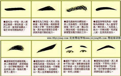 男士眉毛形状图解命运 眉毛看相：眉毛形状看命运