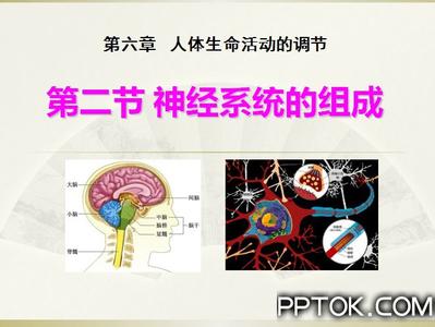 生命状态与幸运的关系 与身体的关系，决定你的生命状态