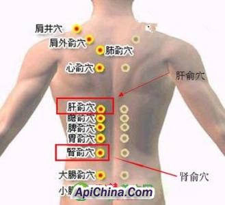 中医养生与预防 中医养生：可防肝癌的5大养肝穴位（转载）