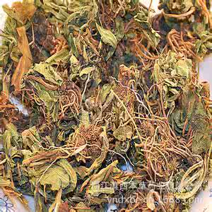 清肝明目的中成药 清肝明目的中药
