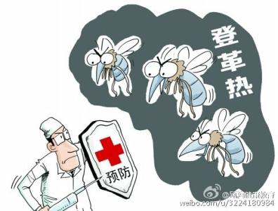 防城港市卫生局 港卫生局称如不加强灭蚊登革热或变香港风土病