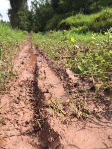 梦见泥泞的路 期盼一场大雨，能洗刷尽前路泥泞