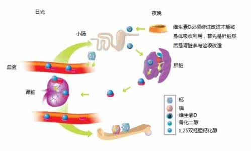 佛教说抑郁症的因果 科学公布维生素D和抑郁症发病之间的因果关联