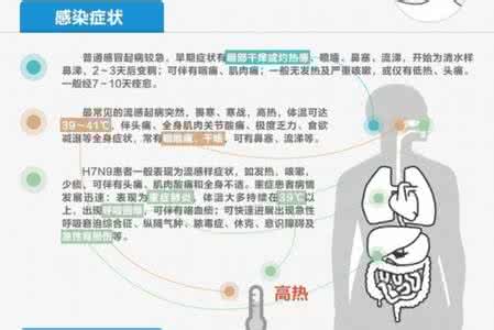 禽流感症状与感冒区别 图解感冒流感禽流感之异同