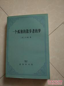 孤独的美食家口头禅 每日禅话 679 一个孤独的散步者的梦
