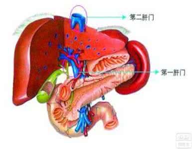 急性肝衰竭治疗 肝衰竭 如何治疗肝衰竭