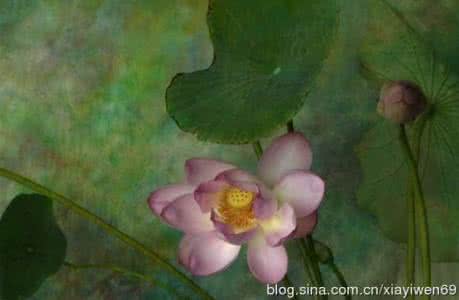 有一种幸福常伴 让幸福常伴左右