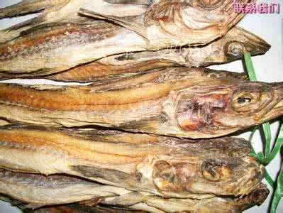 柴鱼是什么鱼 乌鱼、柴鱼、北极虾、草虾、各种鱼做法集页