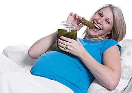 桉树如何危害人体健康 这6类食物多吃严重危害人体健康